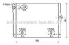 PRASCO BW2430 Radiator, engine cooling